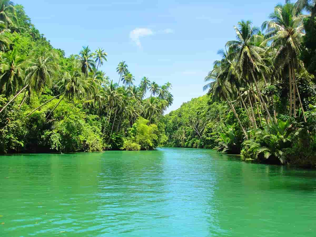 Loboc River