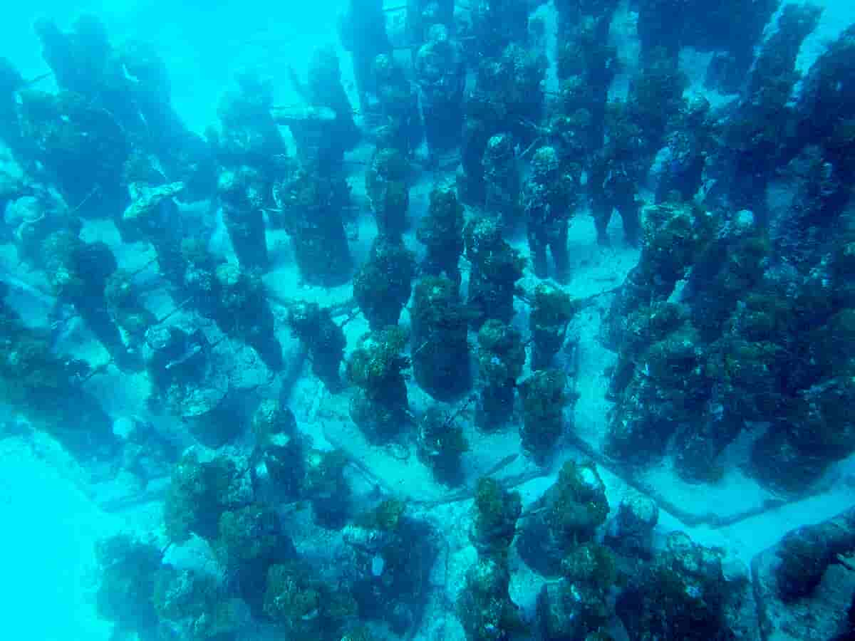 Cancun Underwater Museum
